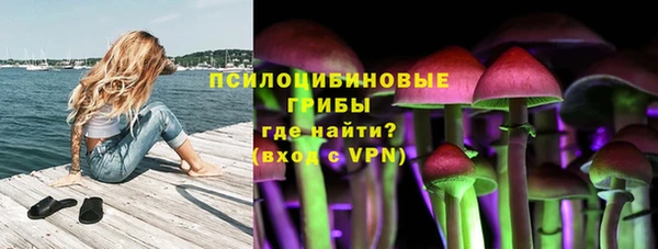 бошки Арсеньев