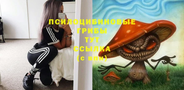 ПСИЛОЦИБИНОВЫЕ ГРИБЫ Аркадак