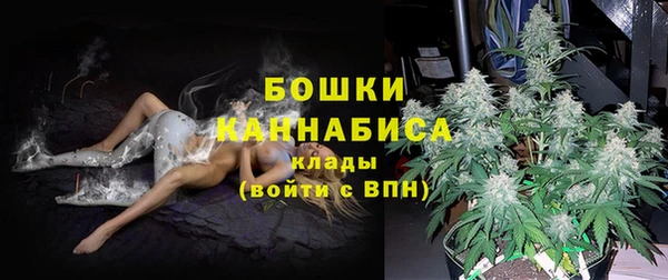 ПСИЛОЦИБИНОВЫЕ ГРИБЫ Аркадак