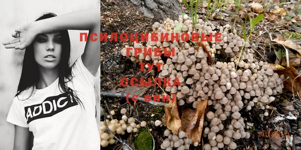 ПСИЛОЦИБИНОВЫЕ ГРИБЫ Аркадак