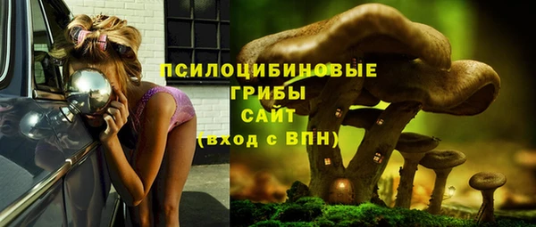 бошки Арсеньев