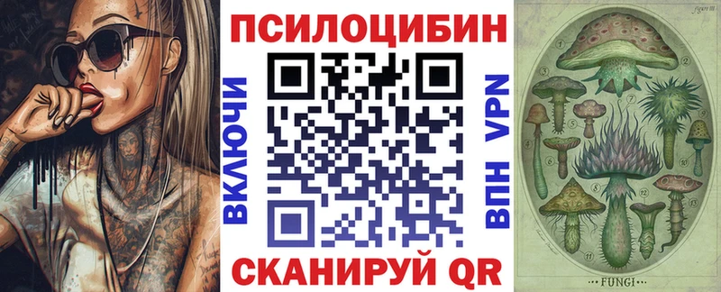 Купить где  Феодосия  Псилоцибиновые грибы Magic Shrooms 